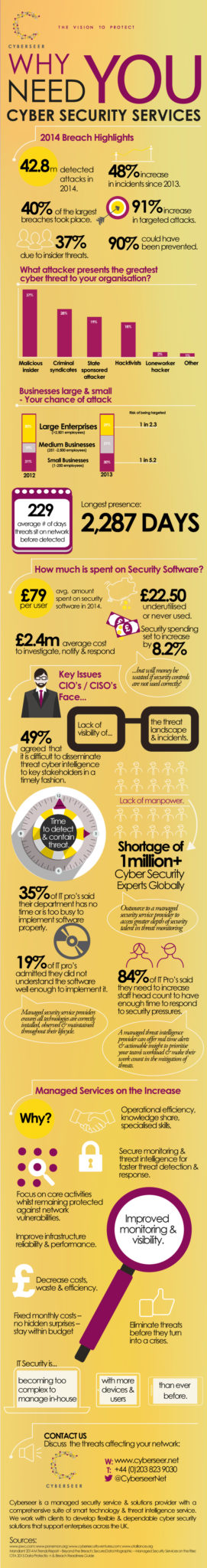 Why You Need Cyber Security Services Infographic