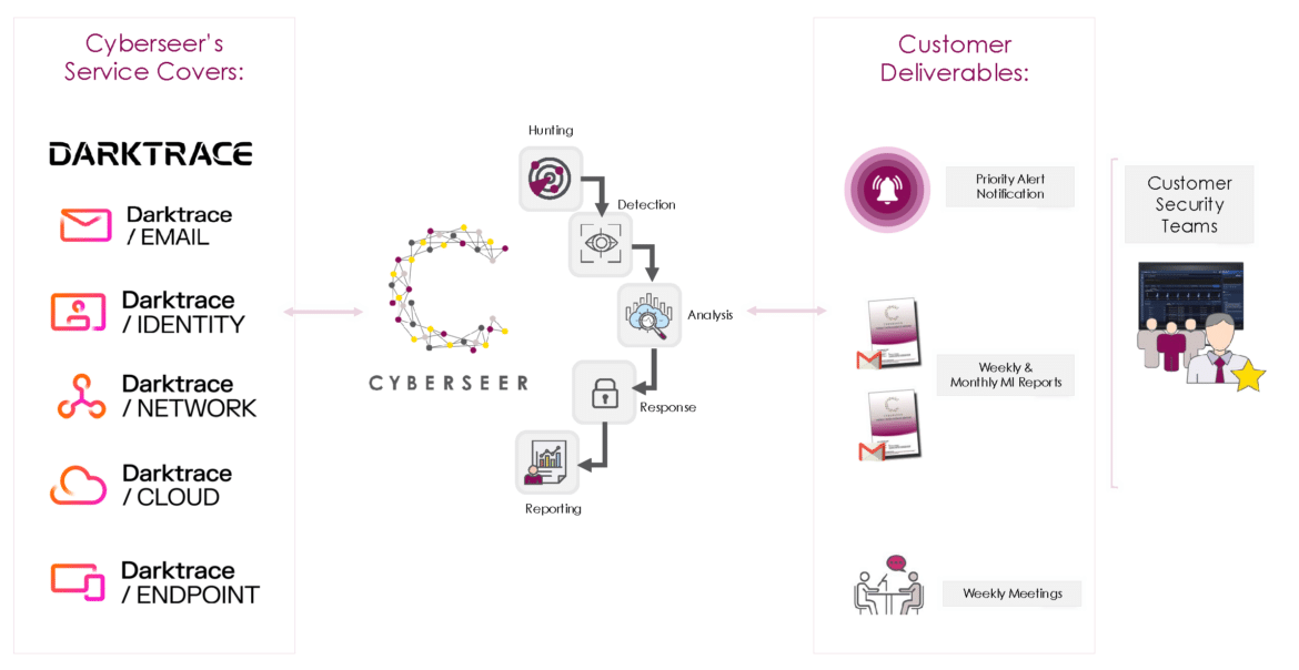 Cyberseer Darktrace Service Architecture